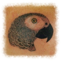 Joel Rivest Tattoo